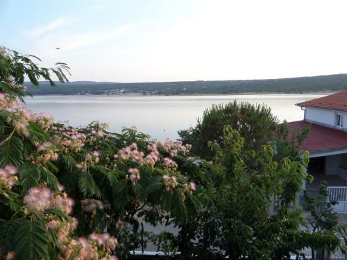 Apartman Jurjevic - Whole House With Yard And Parking