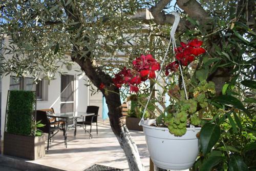 Apartamento Garden Rooms