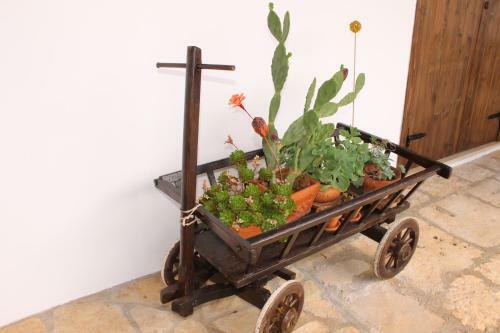 Albachiara Bed & Breakfast