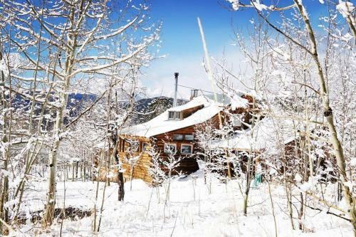 Redtail Retreat - The Studio - Get Off The Grid!
