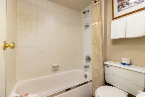 Apartamento 1095 Wild Irishman Condo
