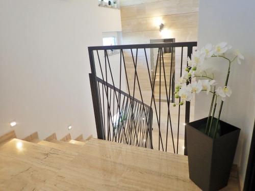 Apartments, Starigrad-paklenica