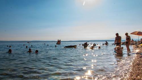 Apartments Stella