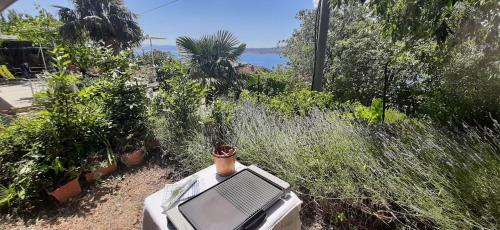 Apartamento Poli Merikovih
