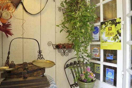 Hotel H�tel Les Bains De Secours