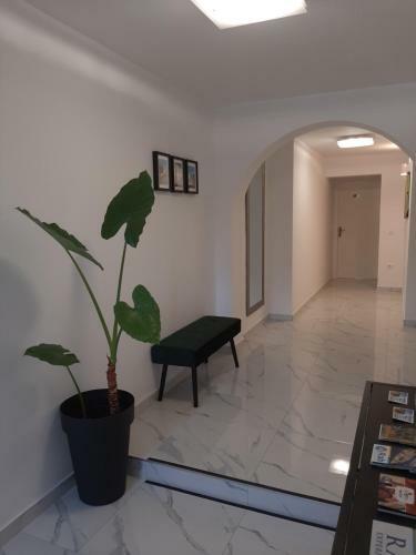 Hostal Apartmans And Rooms Petra