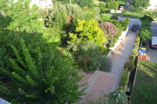 Apartments Pahljina