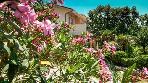 Adria Arba Apartments