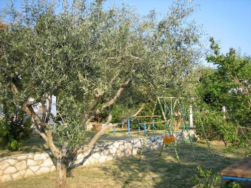 Apartments With A Parking Space Barbat, Rab - 16992