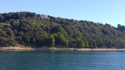 Apartment Ammirare Rab