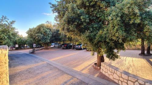 Apartamentos Premium Appartments Suha Punta