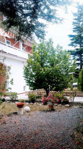 Apartman Luana