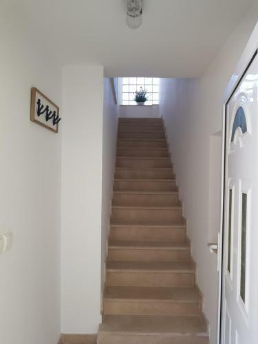 Apartments Ivana Rab