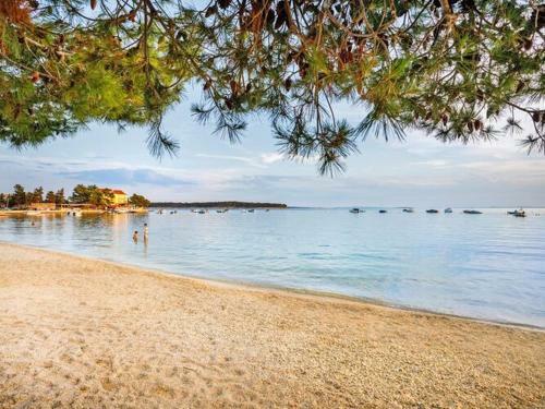 Cin03020 Padova Premium Camp Resort, Rab - Super Camping Home - 4 2, Ca 31 M2