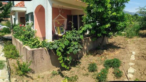 Apartment Dita