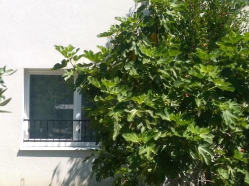 Apartment Simply Rodin