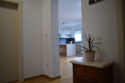 Apartamento Dodo