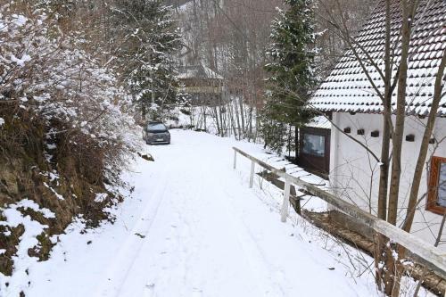 Cabana Satic Piatra Craiului La Doi Viermi