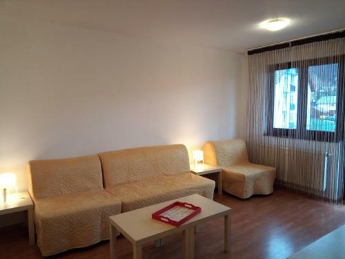 Apartamentul Brandusa