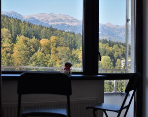 Apartamento Sinaiamountainview - Vista