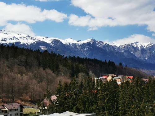Apartamento Bucegi View 39 - Colina Marei