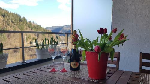 George Apartment Sinaia