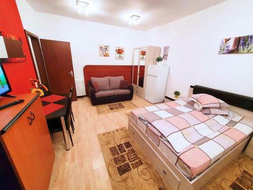 Apartamento Studio Central Sinaia