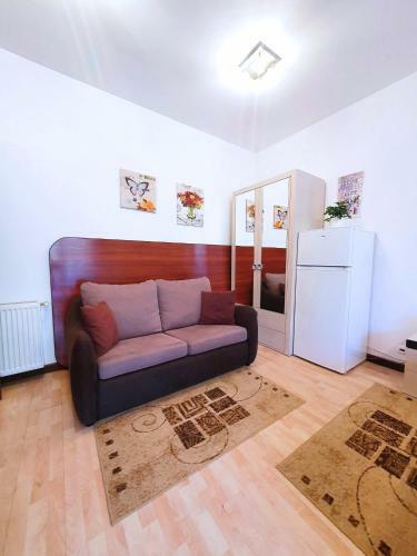 Apartamento Studio Central Sinaia