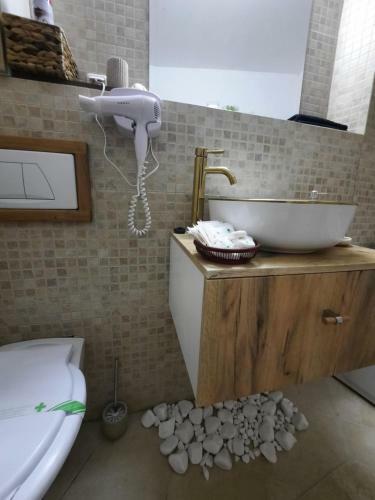 Apartament Erika Sinaia