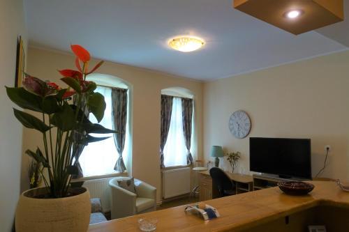 Apartamento City Eyes Xenopol 3
