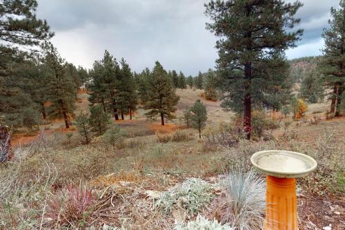 Buena Vista Cabin
