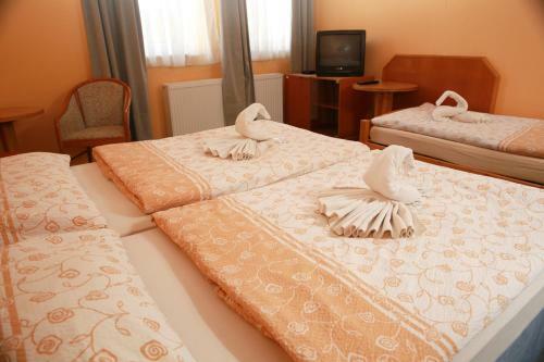Hostal Wellness Penzion Krom??�? - Zlobice
