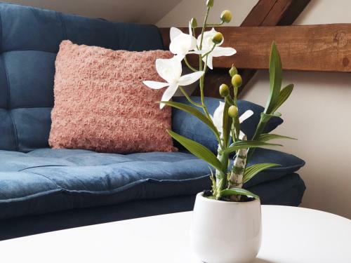 Apartm�ny Rosenberg - Lipno