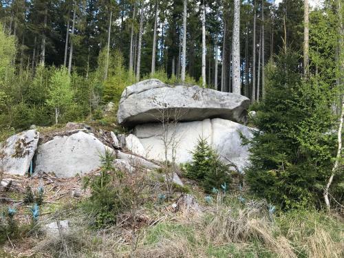 H�jenka Ovesn� Na ?umav?