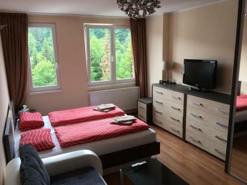 Holiday Apartment Spindleruv Mlyn