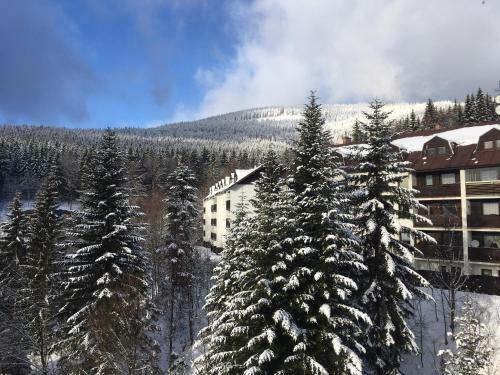 Holiday Apartment Spindleruv Mlyn