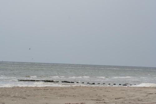 Apartamento Appartement Tjerk