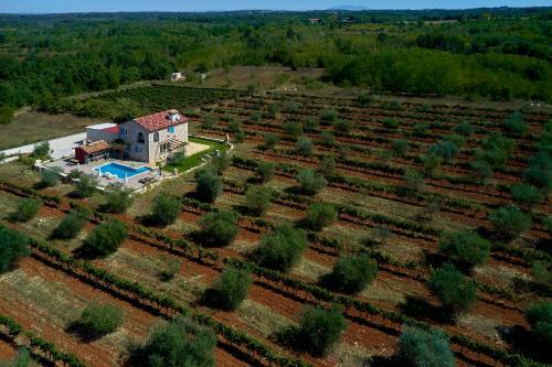 Villa Relax House Surrounded By Olives And Vineyard