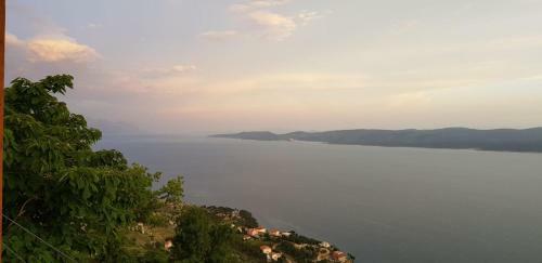 Villa Grandpa's Dream