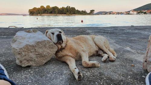 Stonehouse By The Sea Zmorac