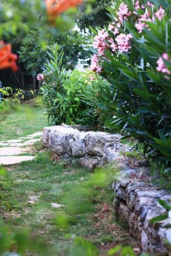 Stonehouse By The Sea Zmorac