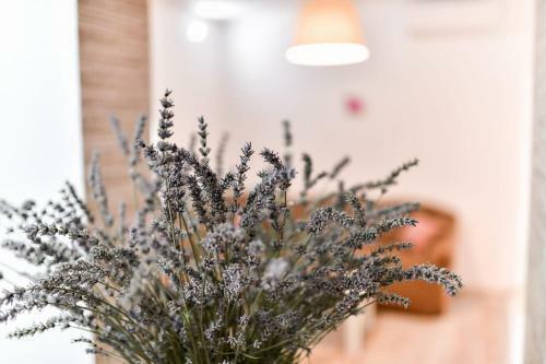Holiday House Strenja