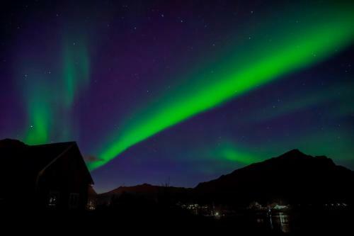 Narnia Lodge Lofoten