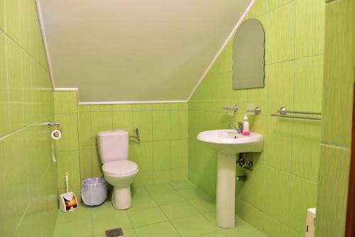 Hostal Pensiunea La Safari