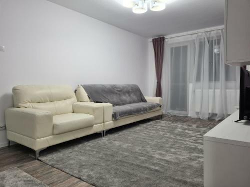 Apartament Terra