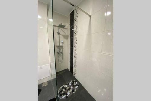 Central Lux Apartament