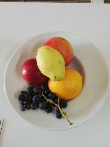 Hotel Pridvorul Haiducilor