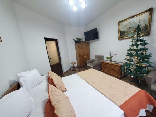 Hostal Pensiunea Mihaita