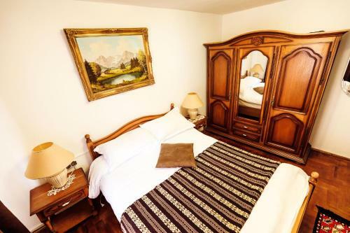 Hotel Pensiunea Iris