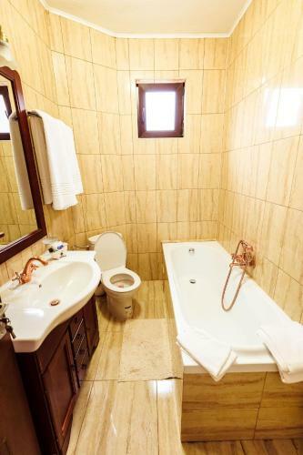 Hotel Pensiunea Iris